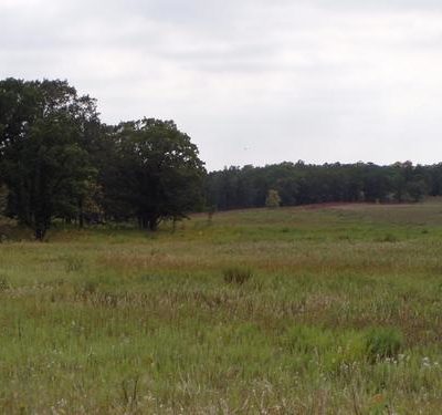 Agassiz Dunes Scientific and Natural Area (SNA)/Agassiz Environmental ...