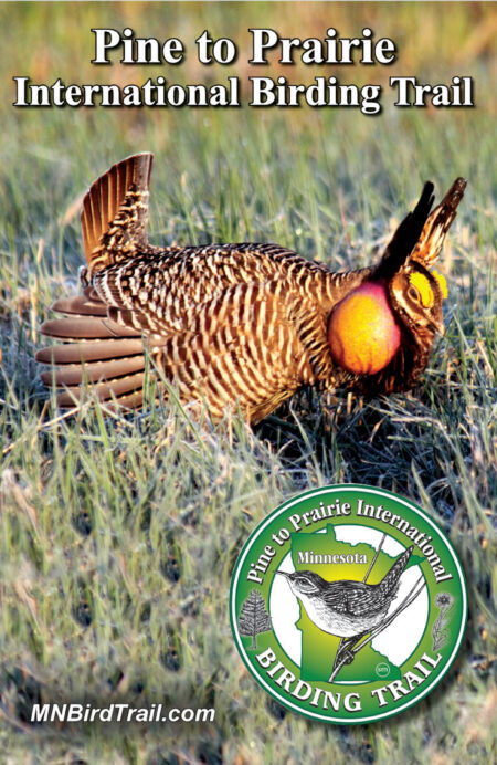 Minnesota Brochure